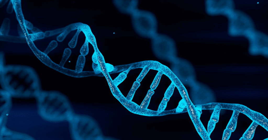 DNA Qualität in den Spermien